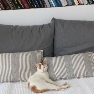 Meet your Posher, Lee